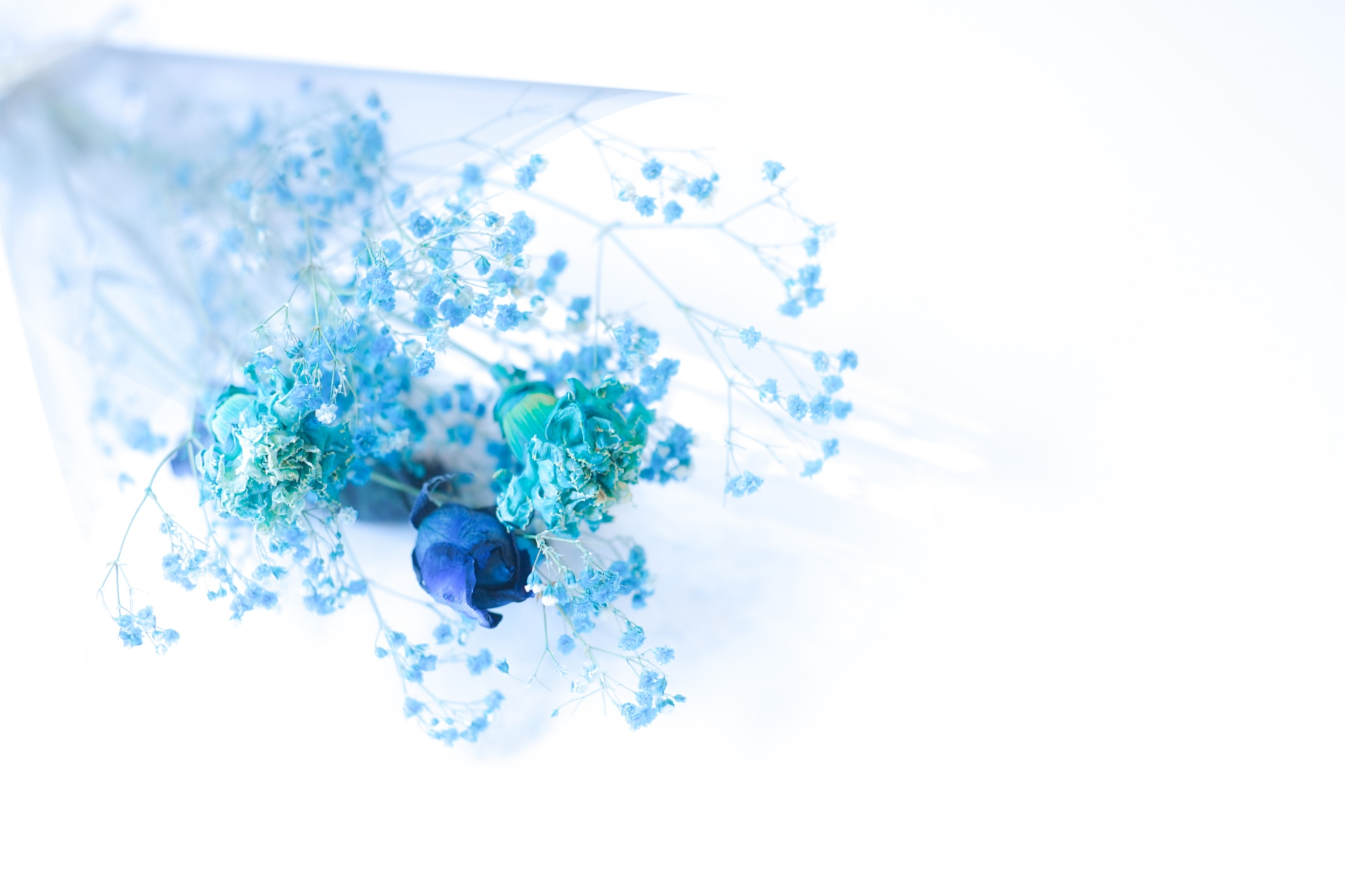 CE5BDFD4-0294-44FA-90E8-6AE812482FD4.jpeg