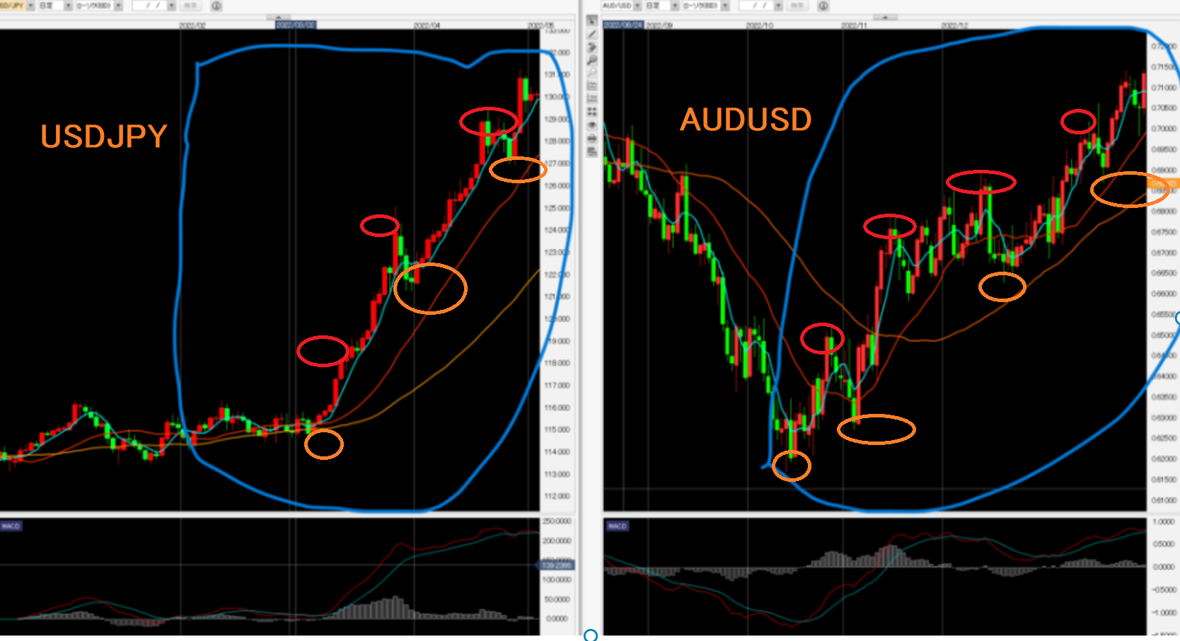 FX手法の勉強に真面目な方ほど「勝てない」理由は？？｜【大人】向け【学べばできるFX】富盛祥充｜coconalaブログ