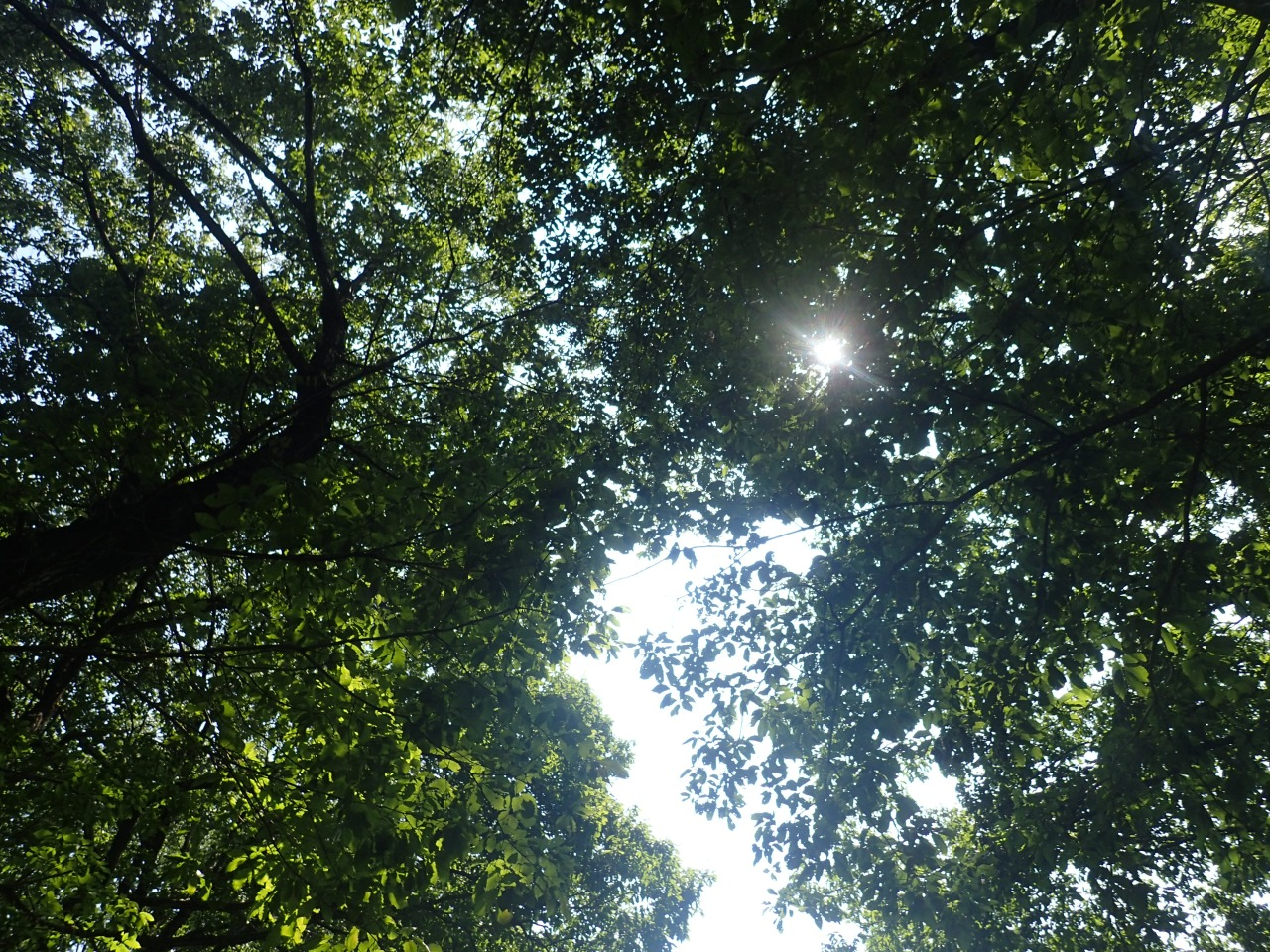 P8050691.JPG