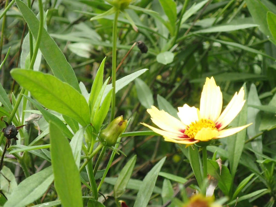PA120499.JPG