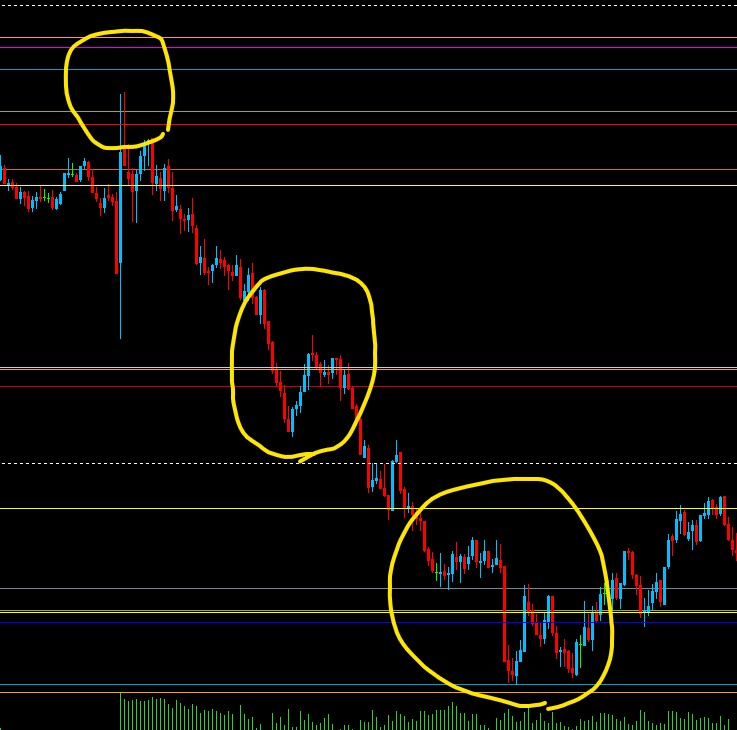 スクリーンショット 2024-11-14 031601.jpg