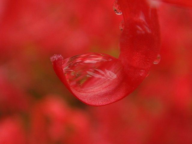 DSC07112-.jpg