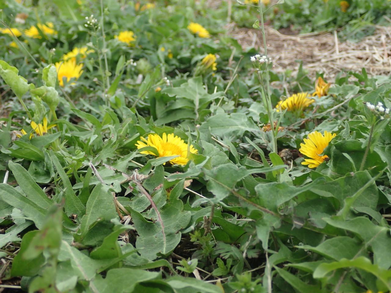 P4051768.JPG
