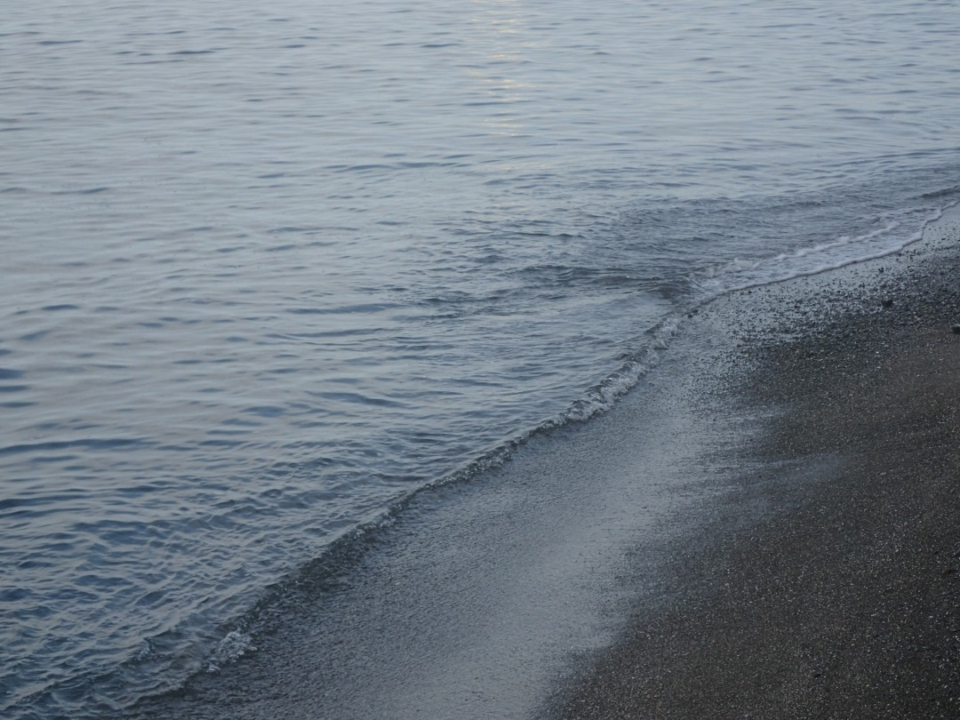 P8110653.JPG