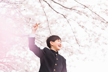 中学生　桜　学生服.jpeg