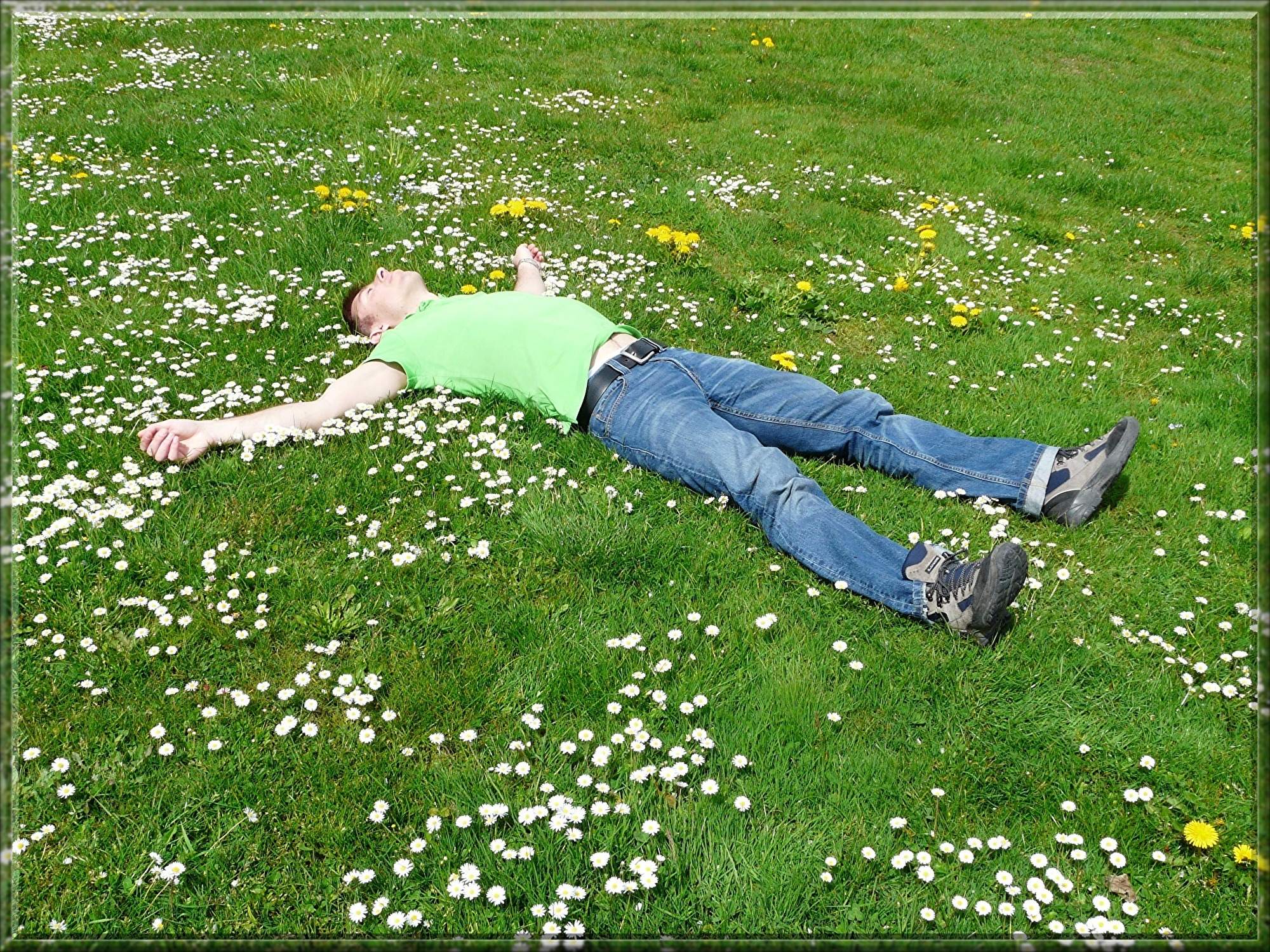 rest-52495.jpg