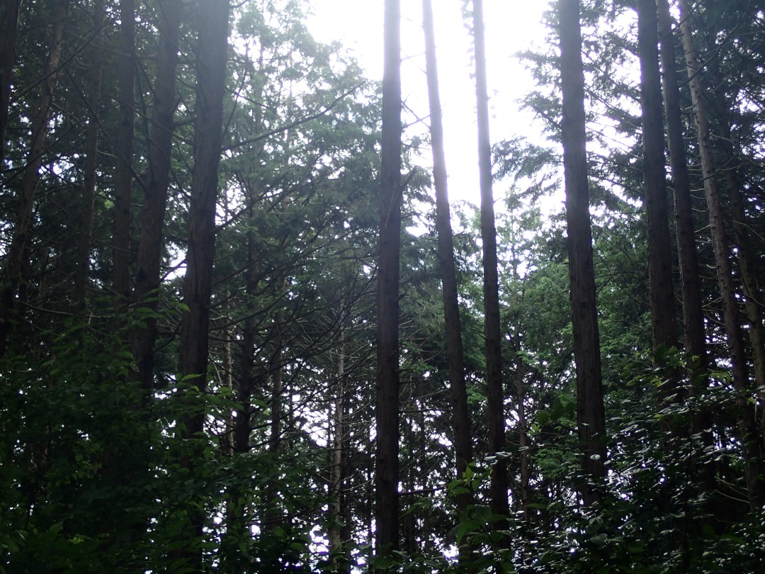 P7220615.JPG