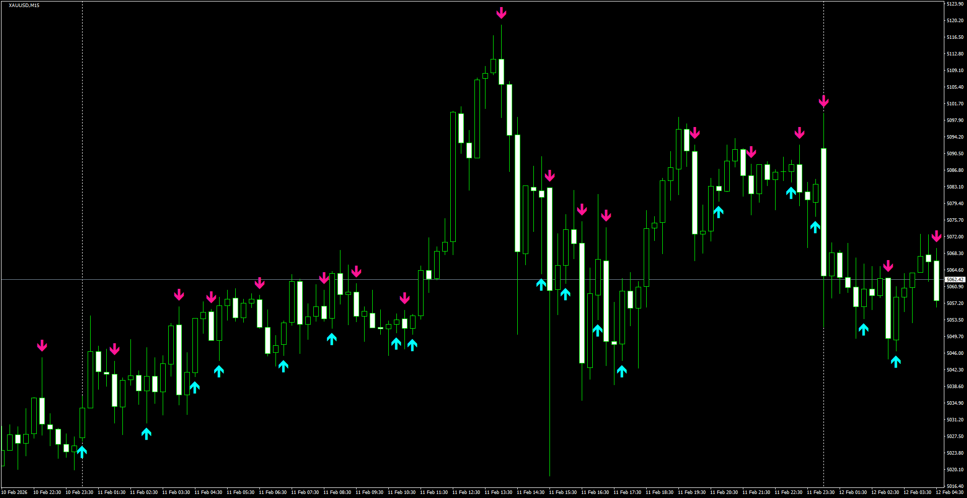 XAUUSD(M15)_2026.02.12_205740.png