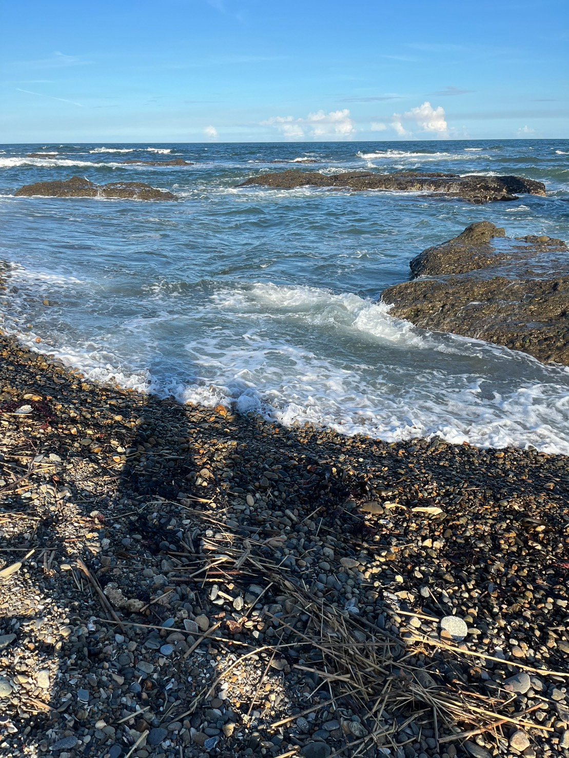 S__41885746_0.jpg