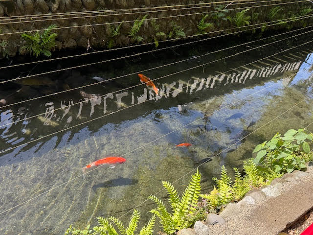 神池.jpg