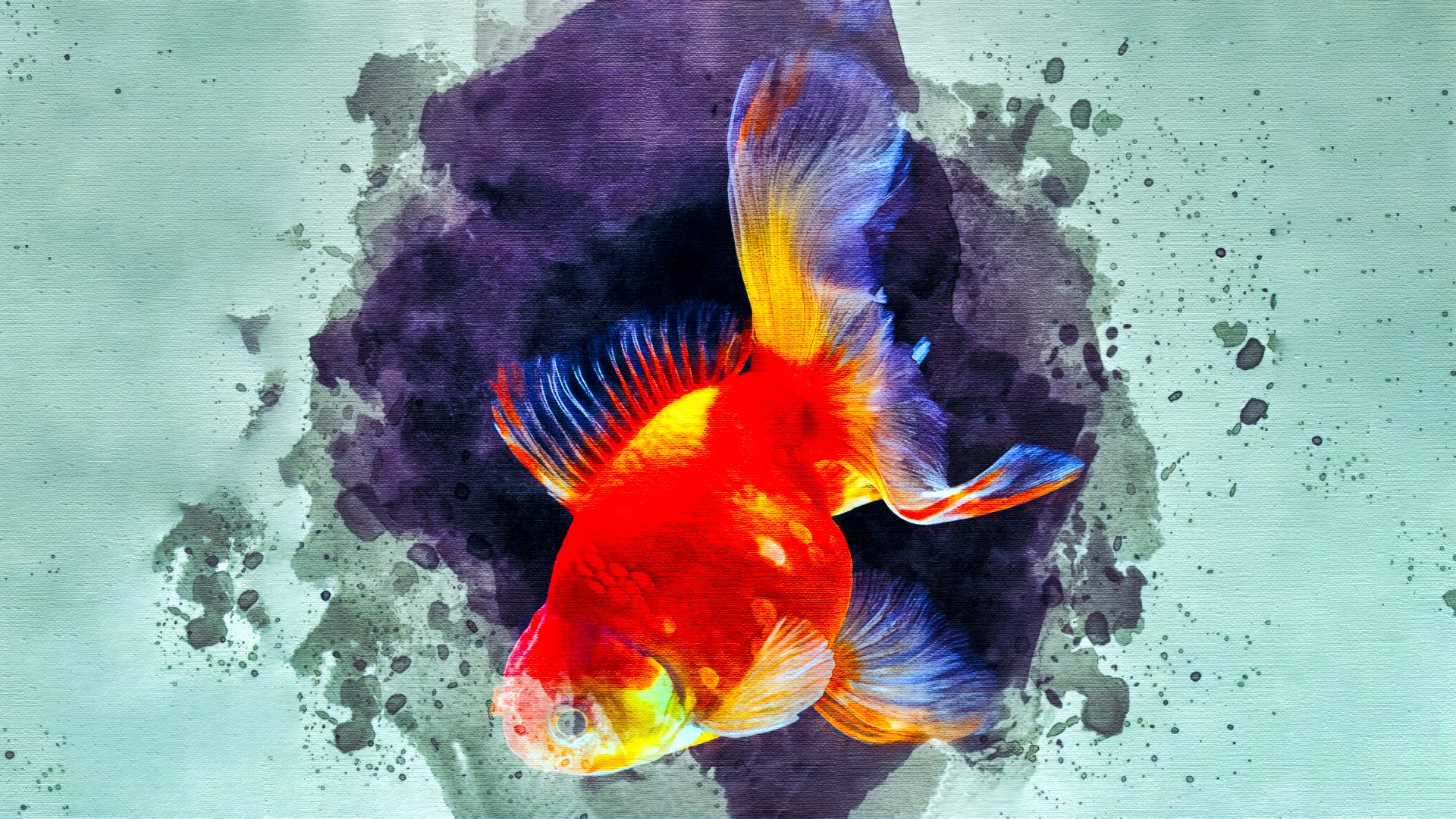 水彩風金魚.png