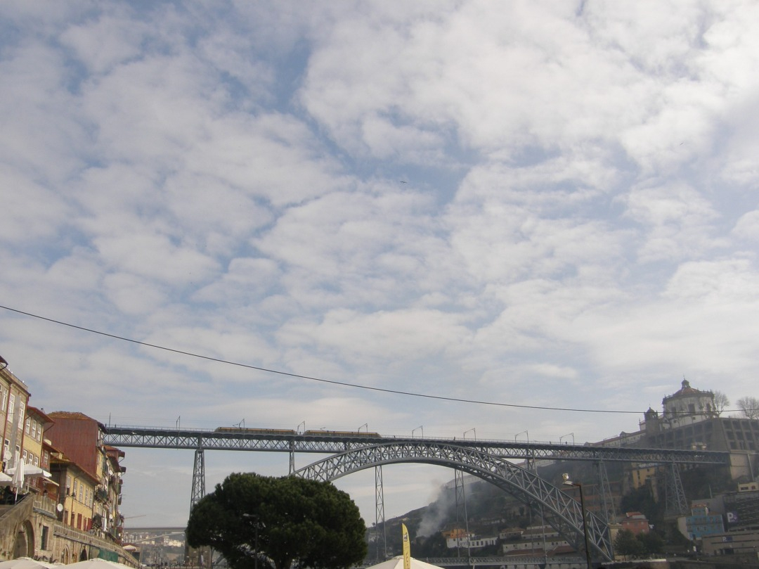 P1240949.JPG