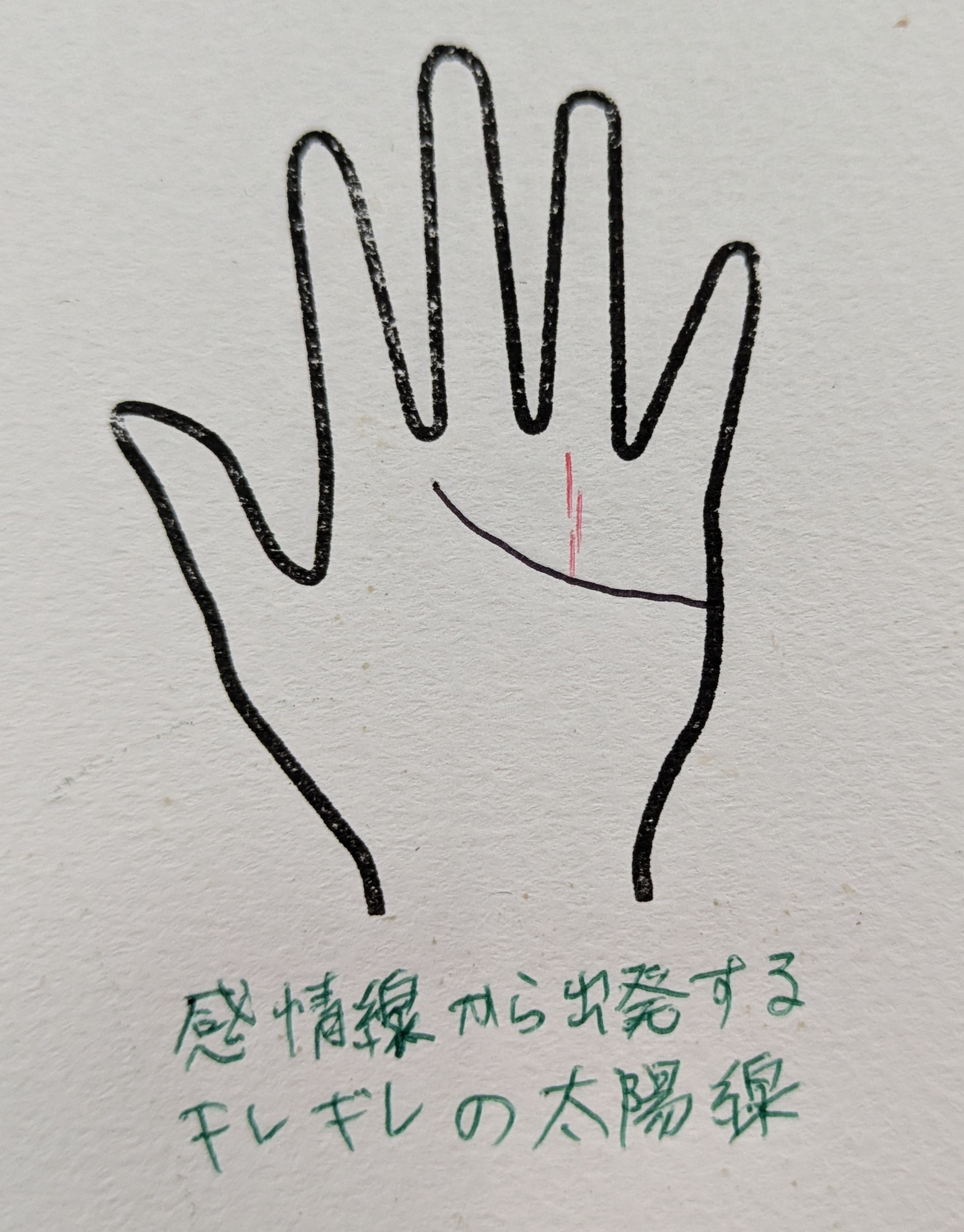 PXL_20251019_212609722.jpg