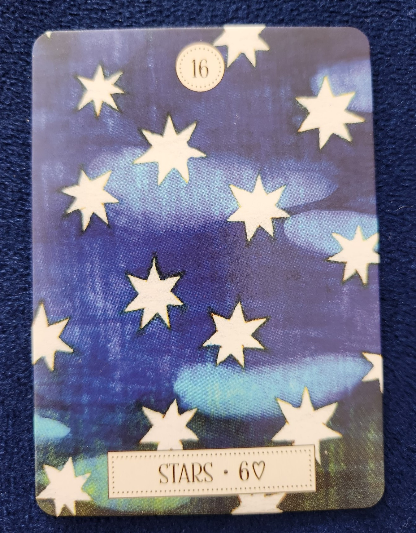 20231202_104129 (002).jpg