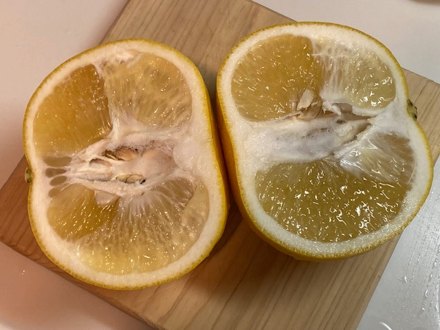 240219②.jpg