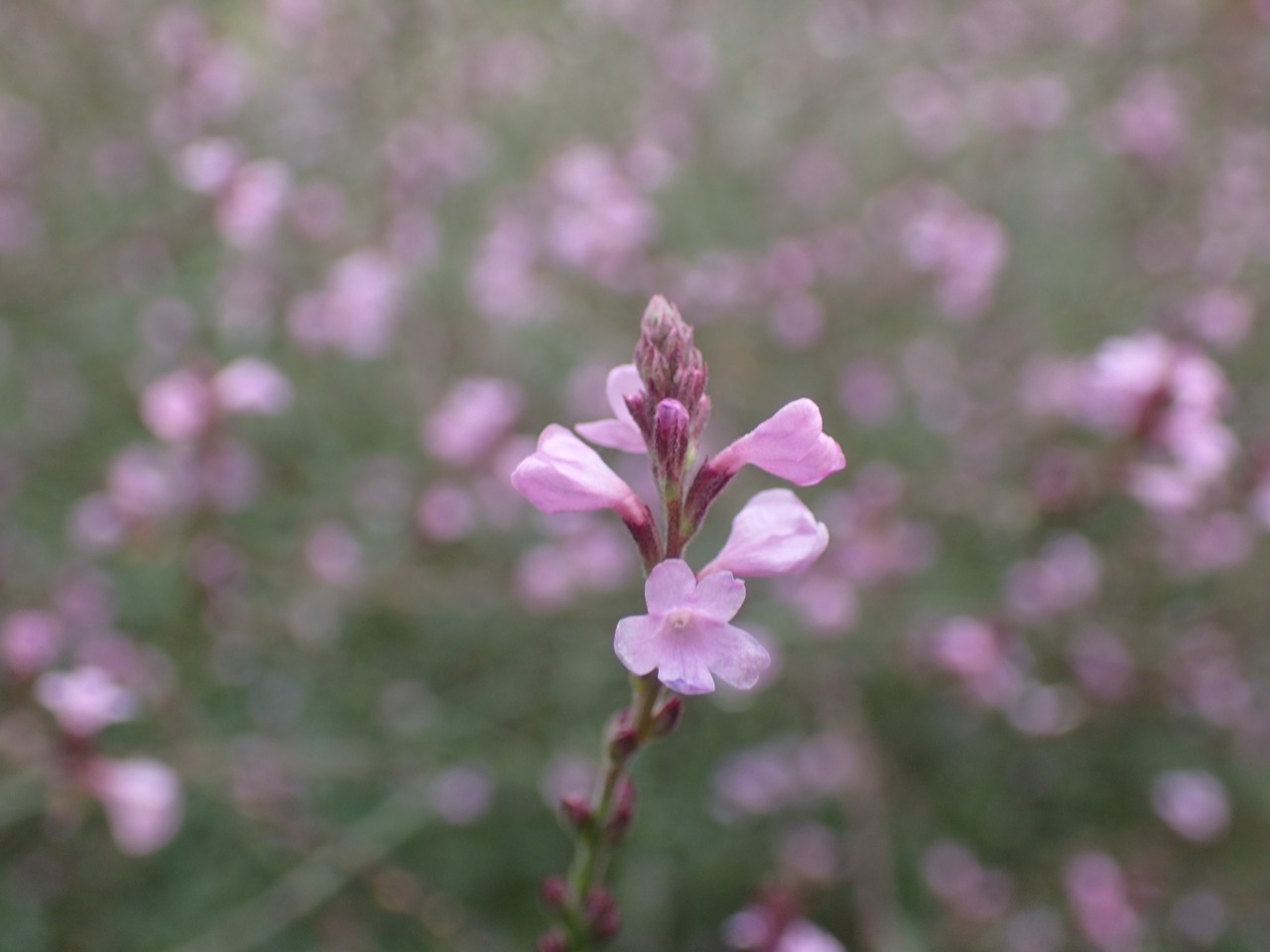 PA120222.JPG