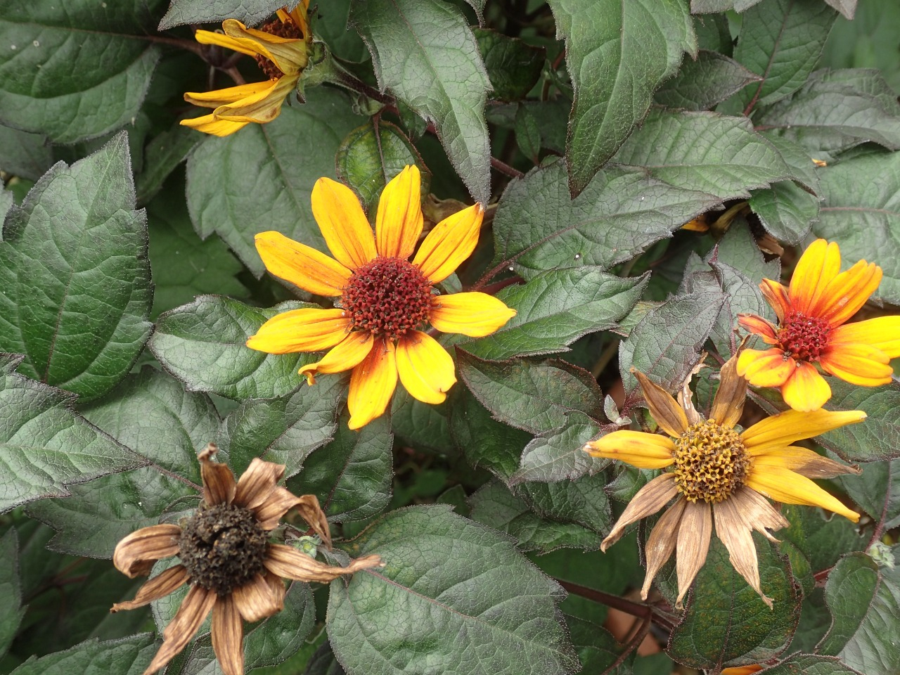 PA120305.JPG