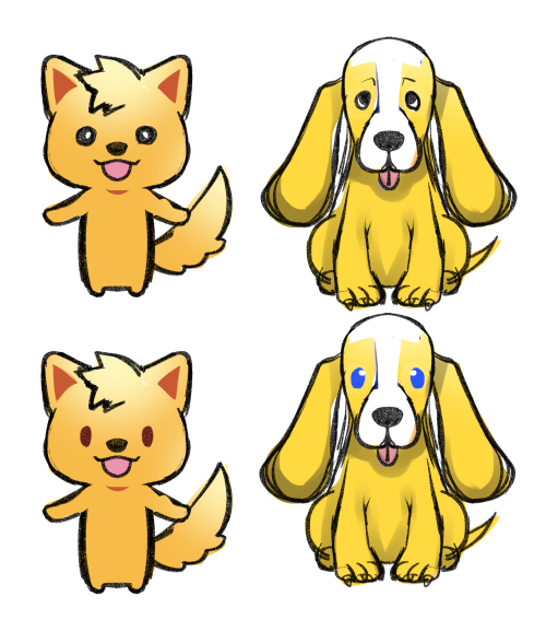 犬サンプル.jpg