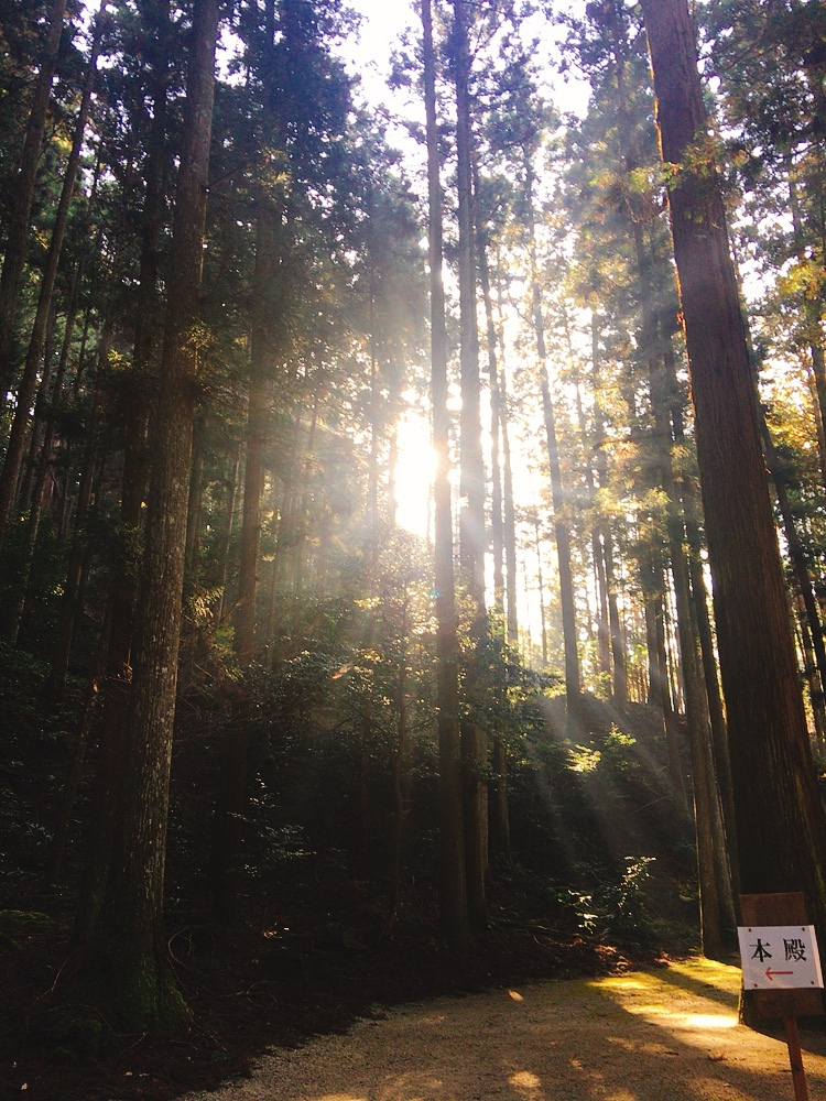御神木室生龍穴神社.jpeg