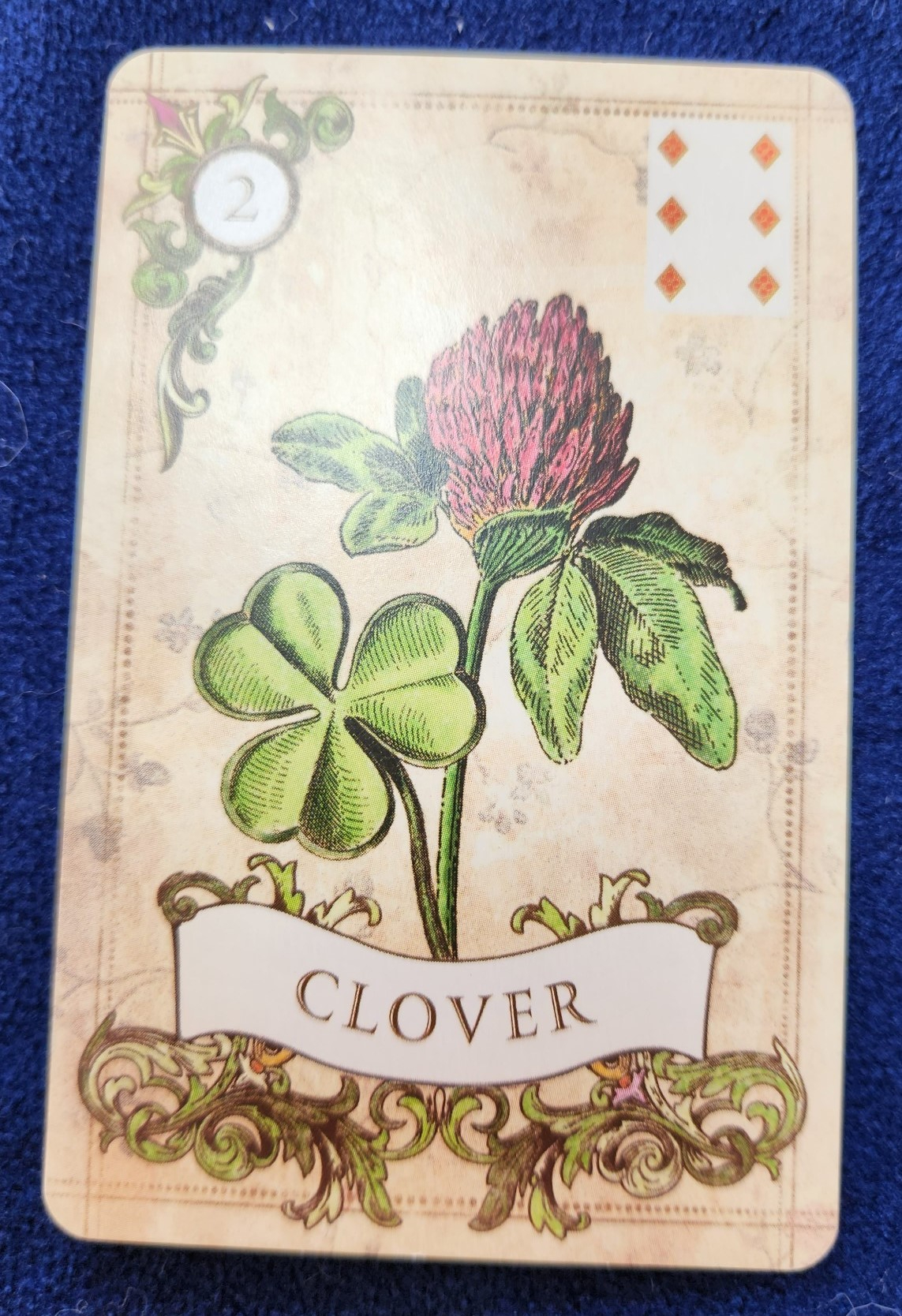 20231116_093157 (002).jpg