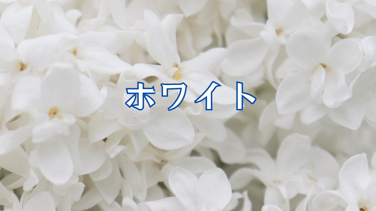 見出しを追加 (47).png