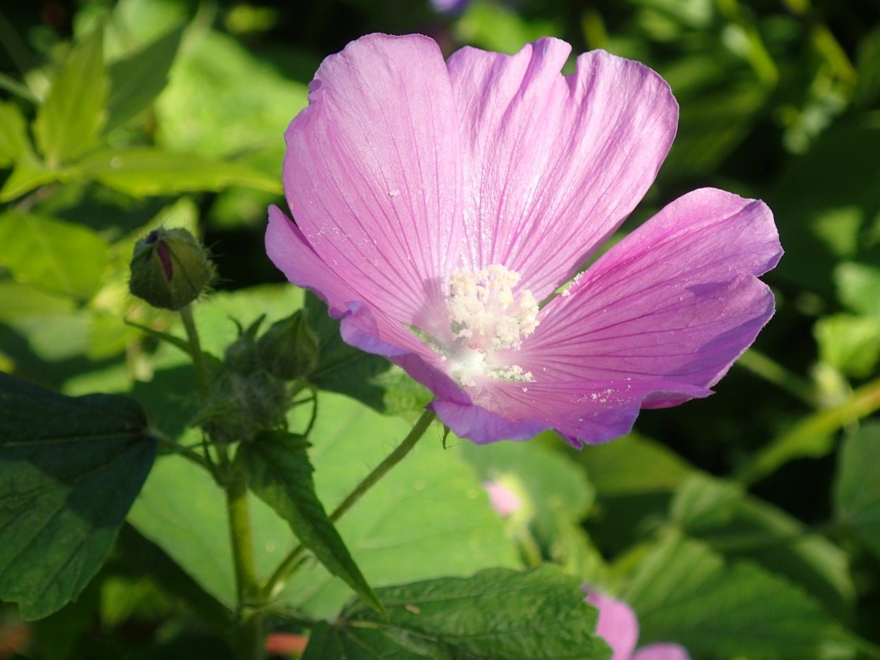 PB160547.JPG