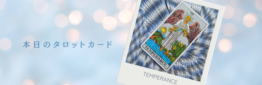 blog_vol13_card.png