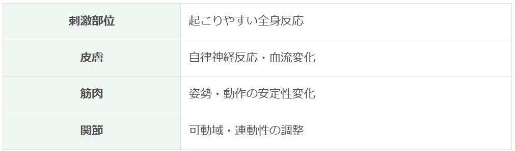 スクリーンショット 2025-12-17 230842.png