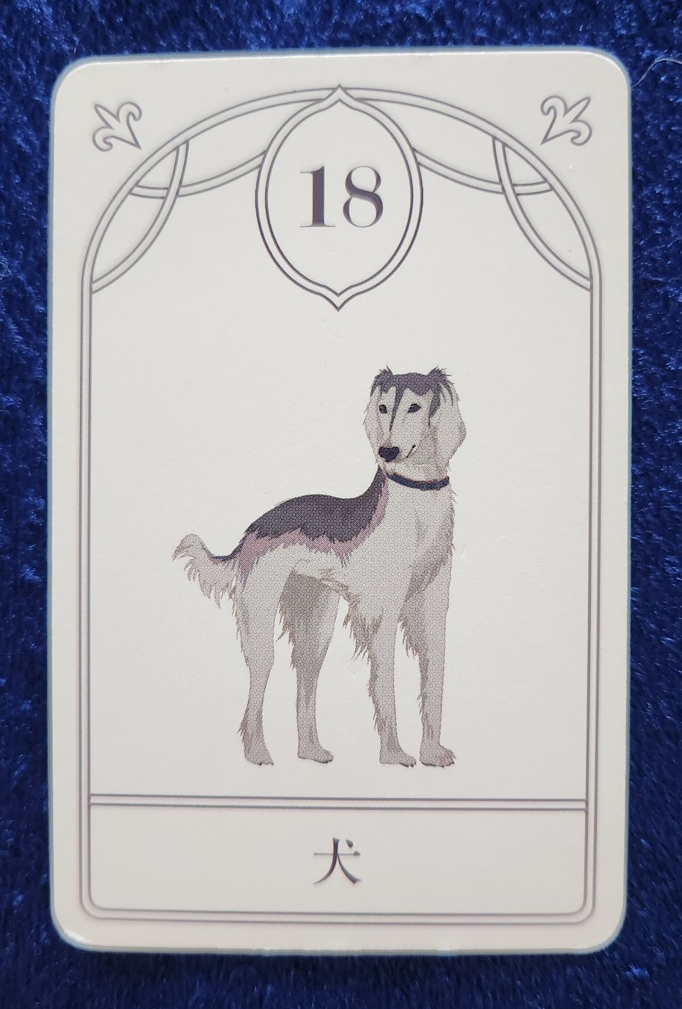 20230917_101745 (002).jpg