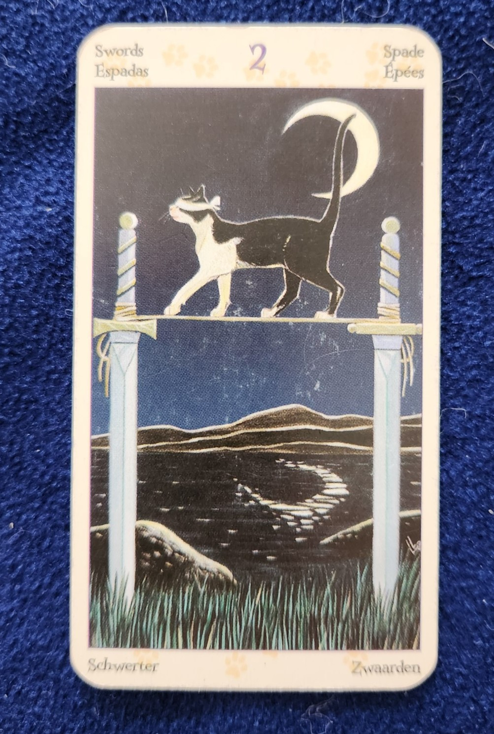 20231106_091325 (002).jpg