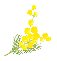 アートボード 24.png