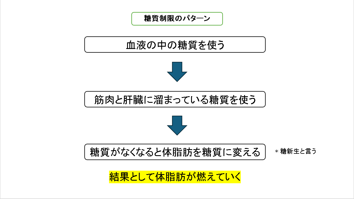 糖質制限のエネルギー変換.png