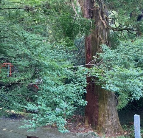 image2 (8).jpeg