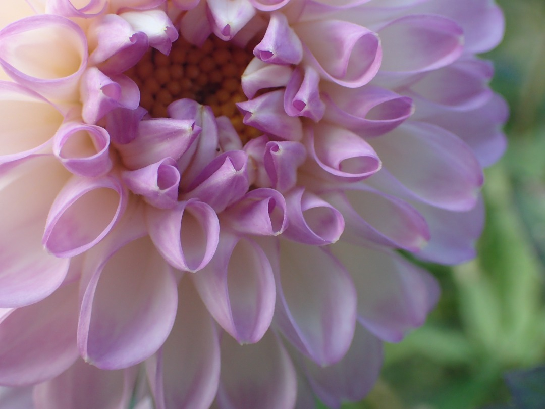 PA180656.JPG