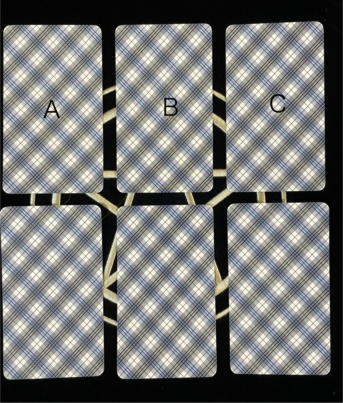 S__20930566.jpg