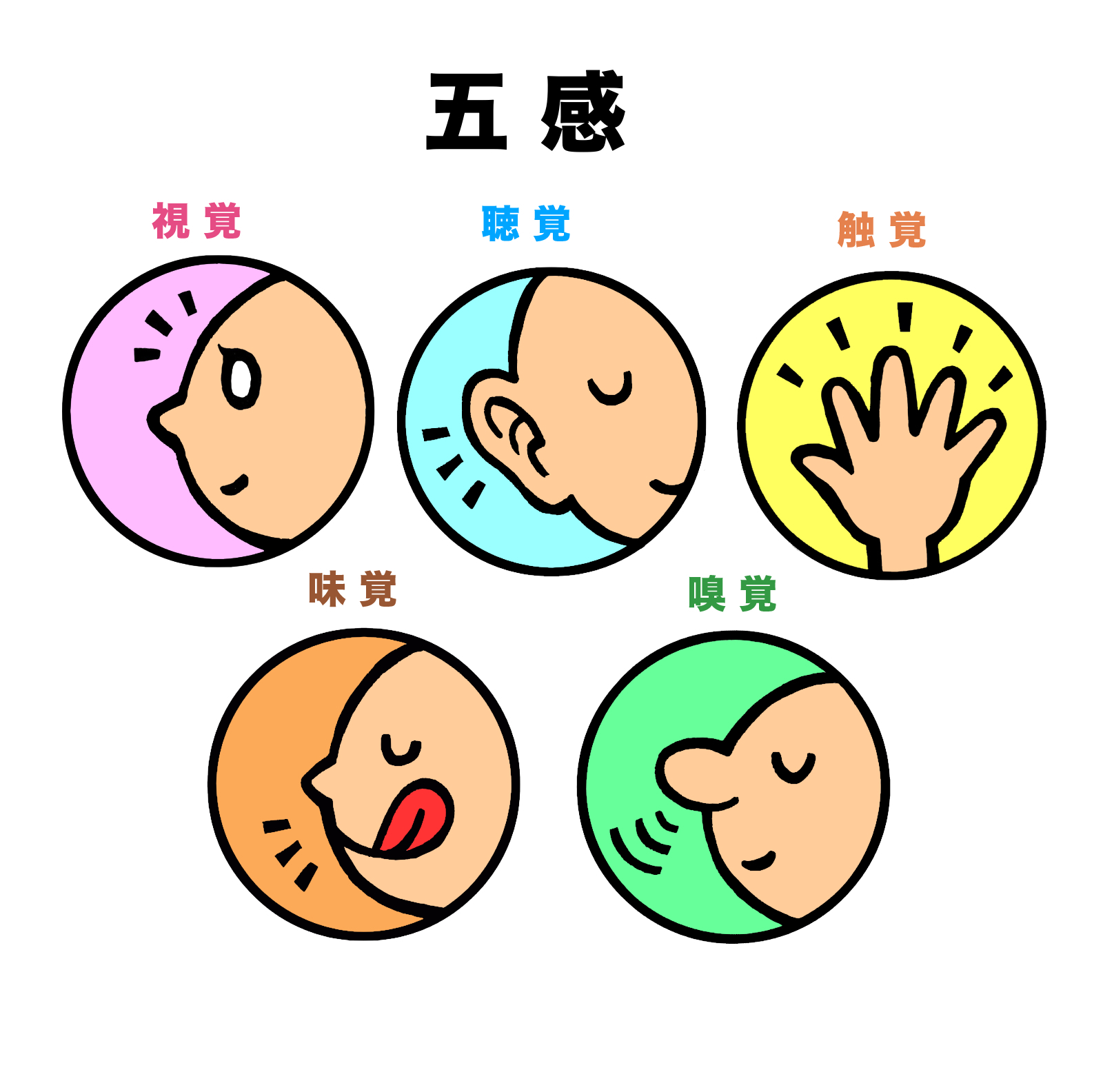 五感.jpg
