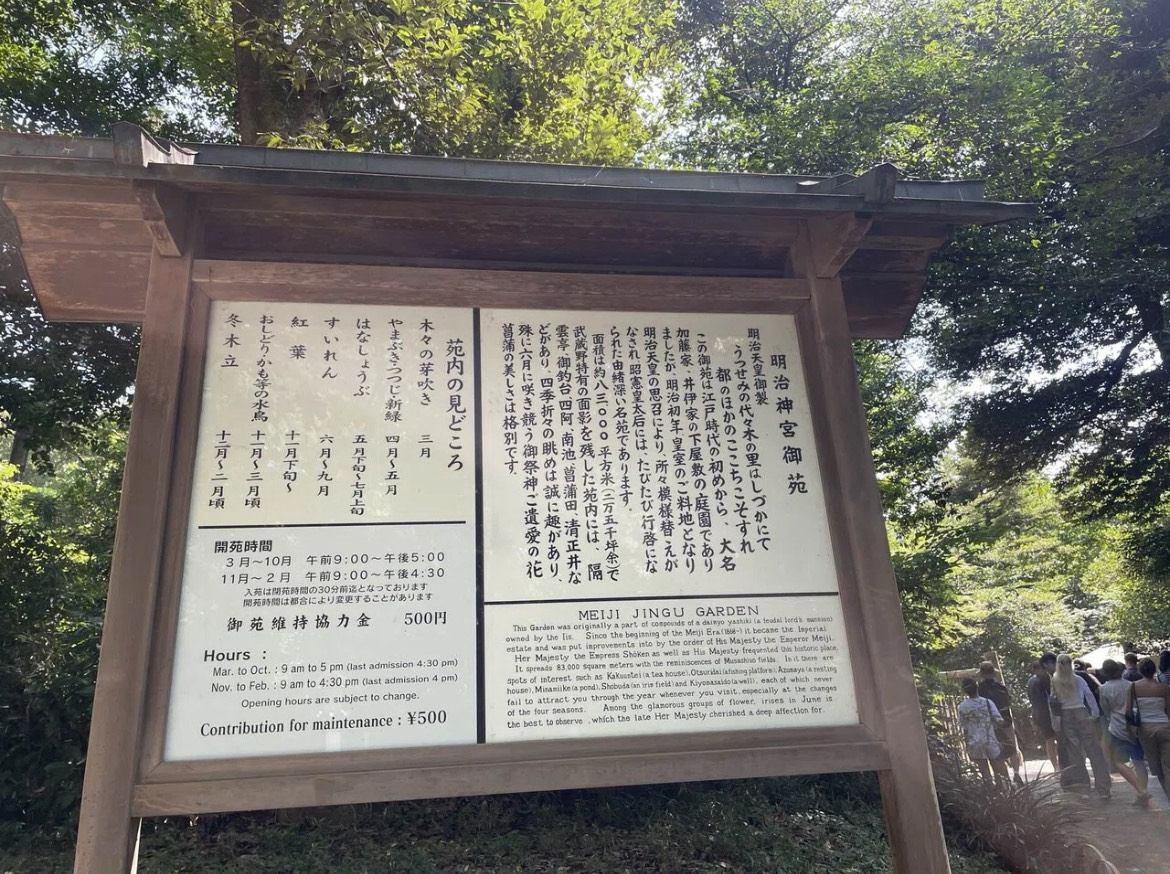 IMG_0133.jpeg