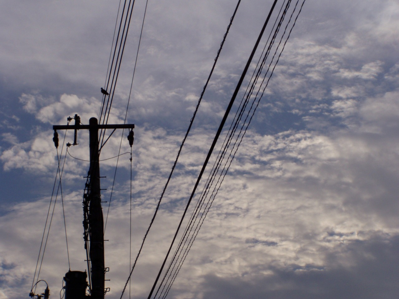 P1010044.JPG