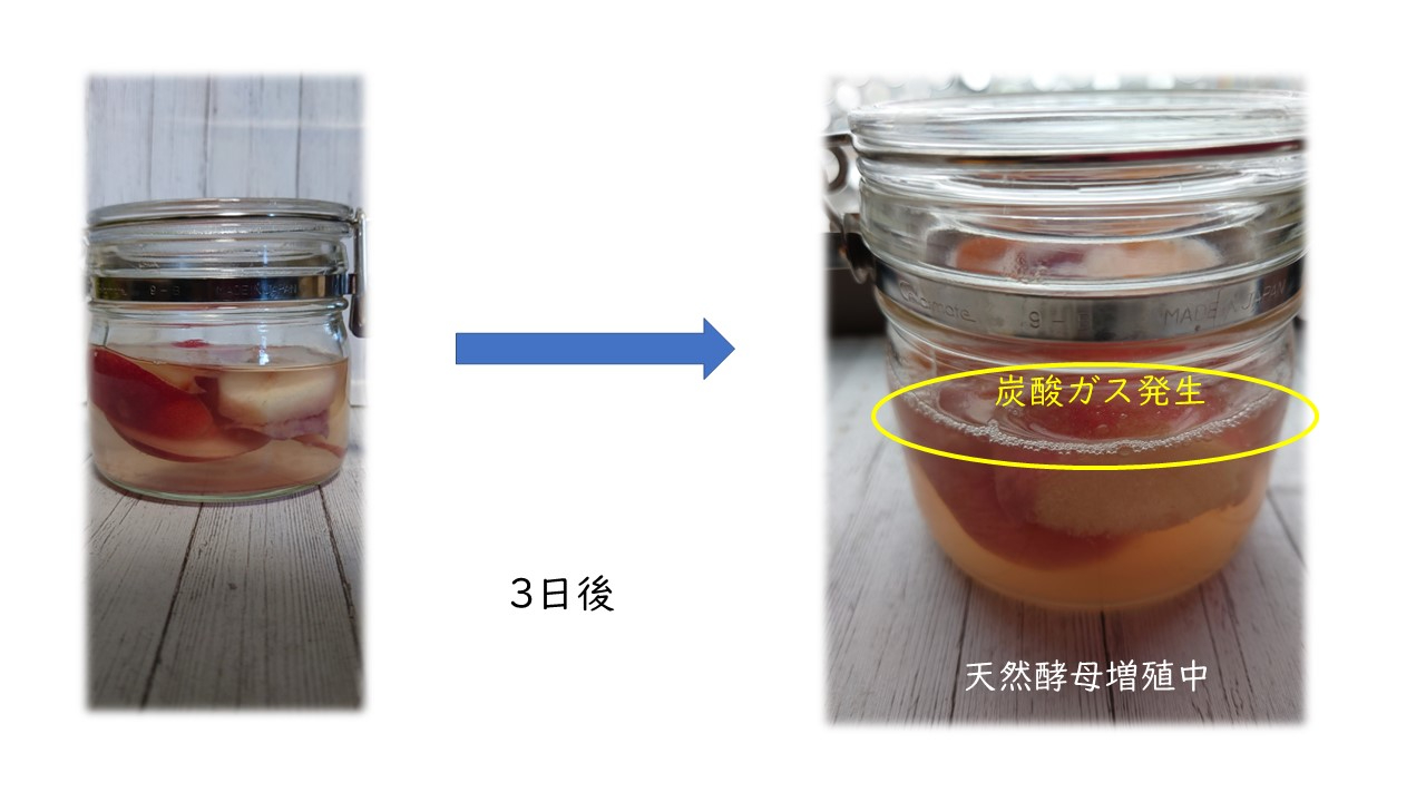 桃の天然酵母.jpg