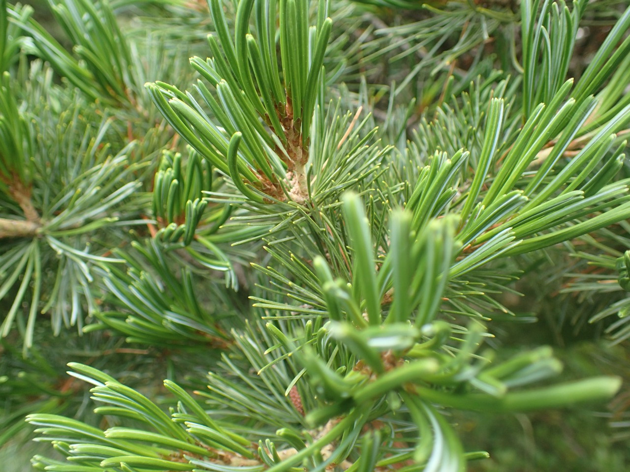 P6100573.JPG