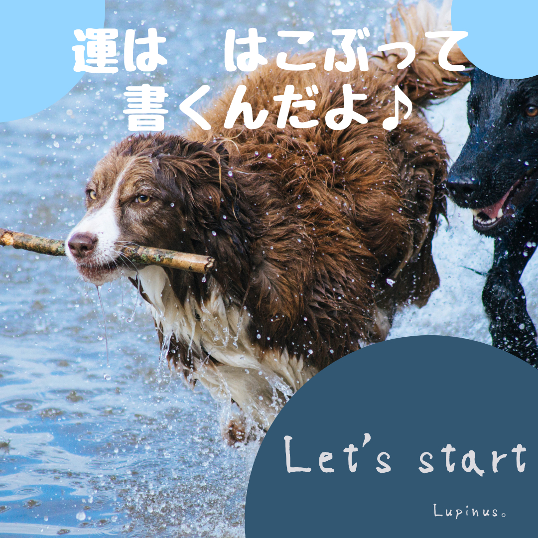 運ははこぶって書くんだよ.png