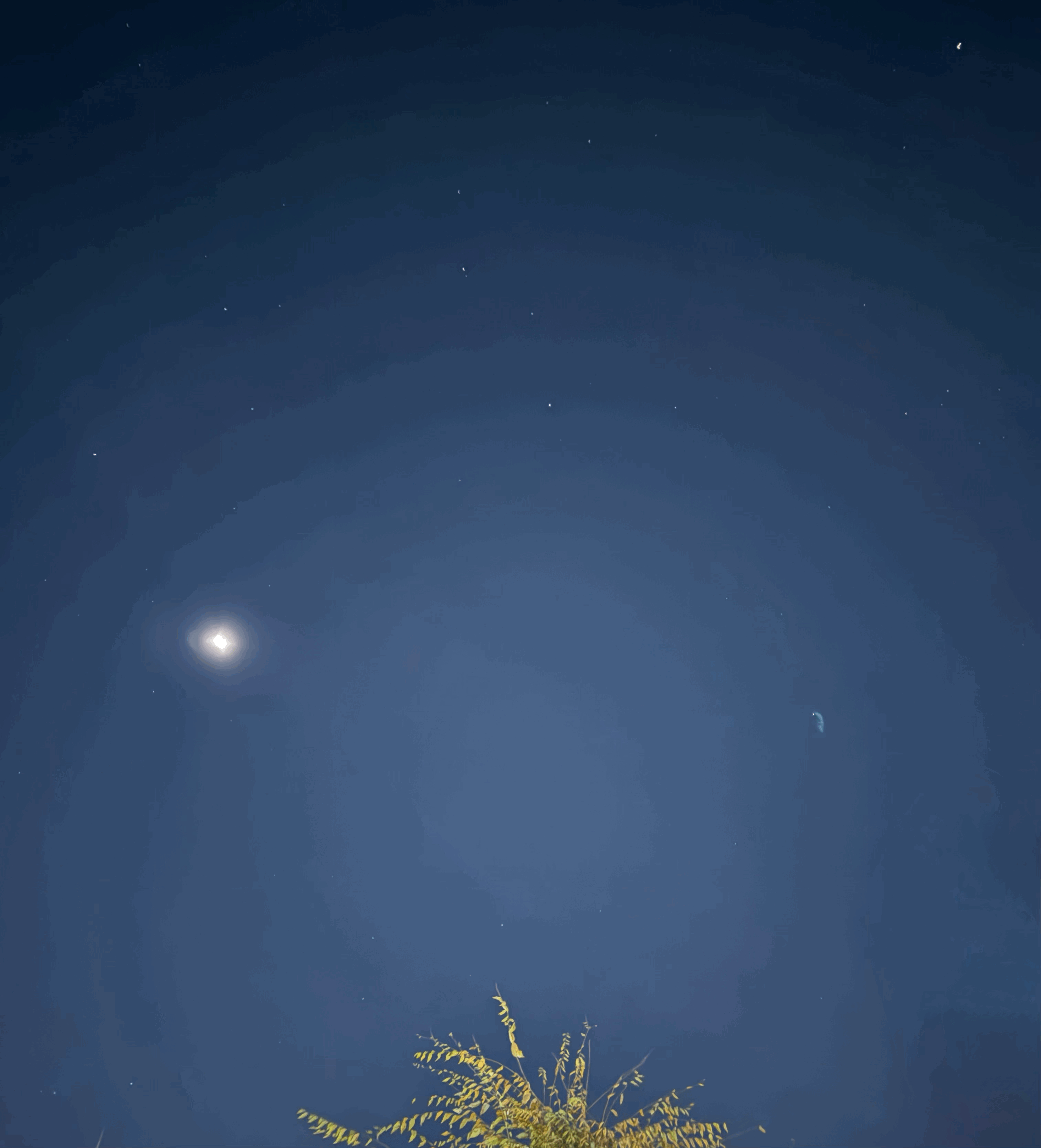 tempImageXYneOc.gif