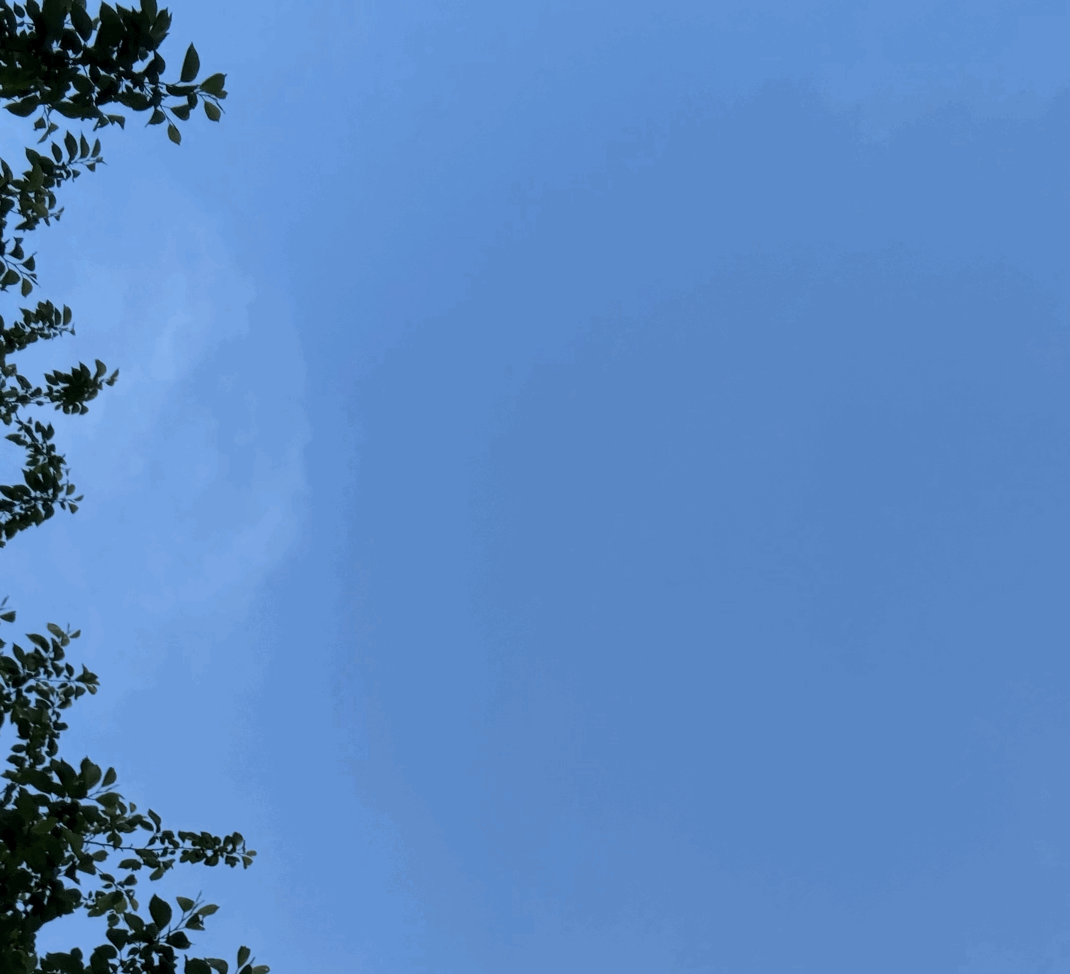 tempImagep0pzXW.gif