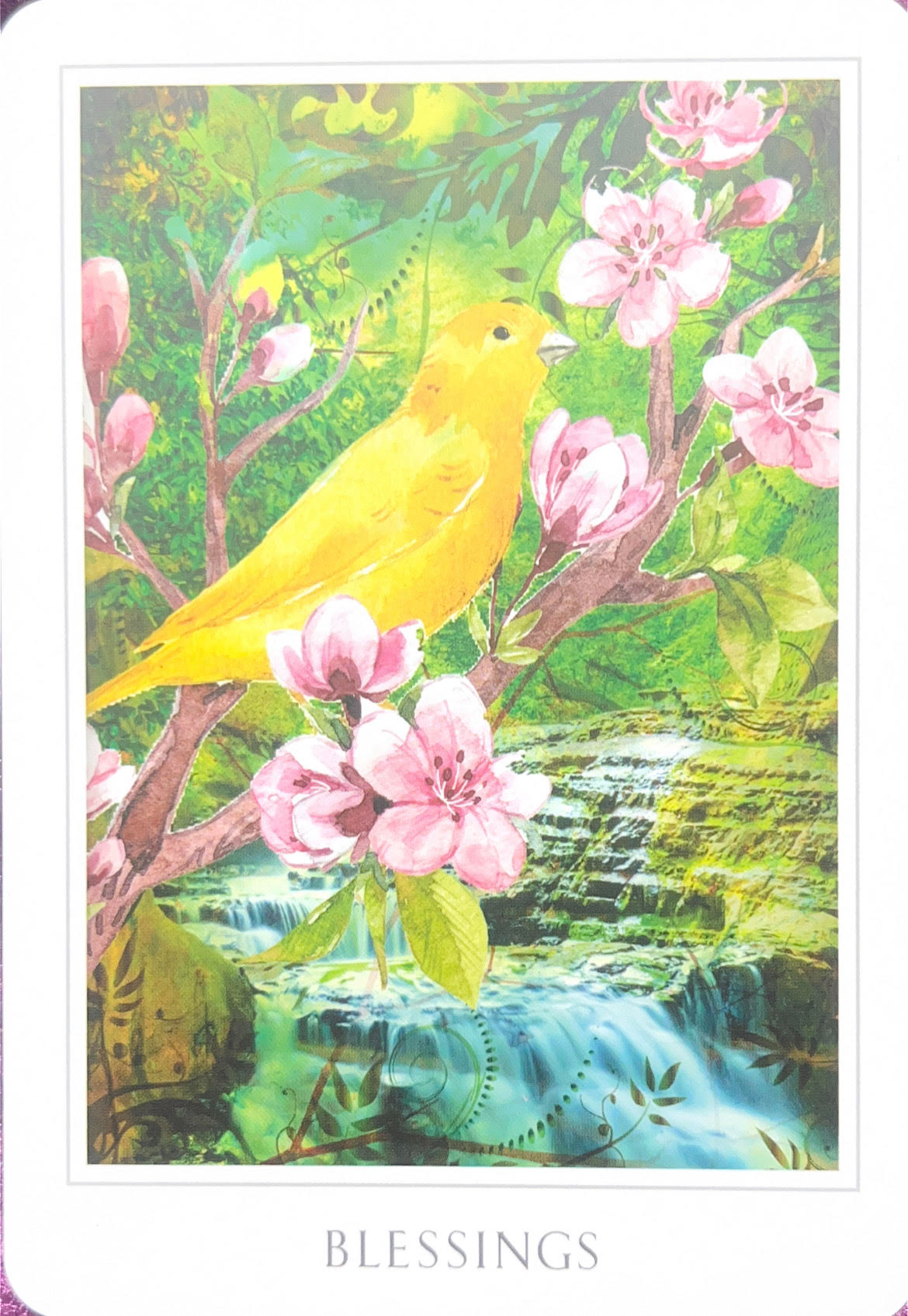 オラクルBLESSINGS.jpg