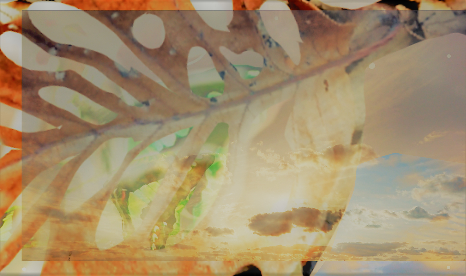 sketch-1669935856635 (4).png