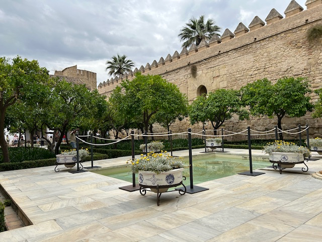 IMG_6397.jpg
