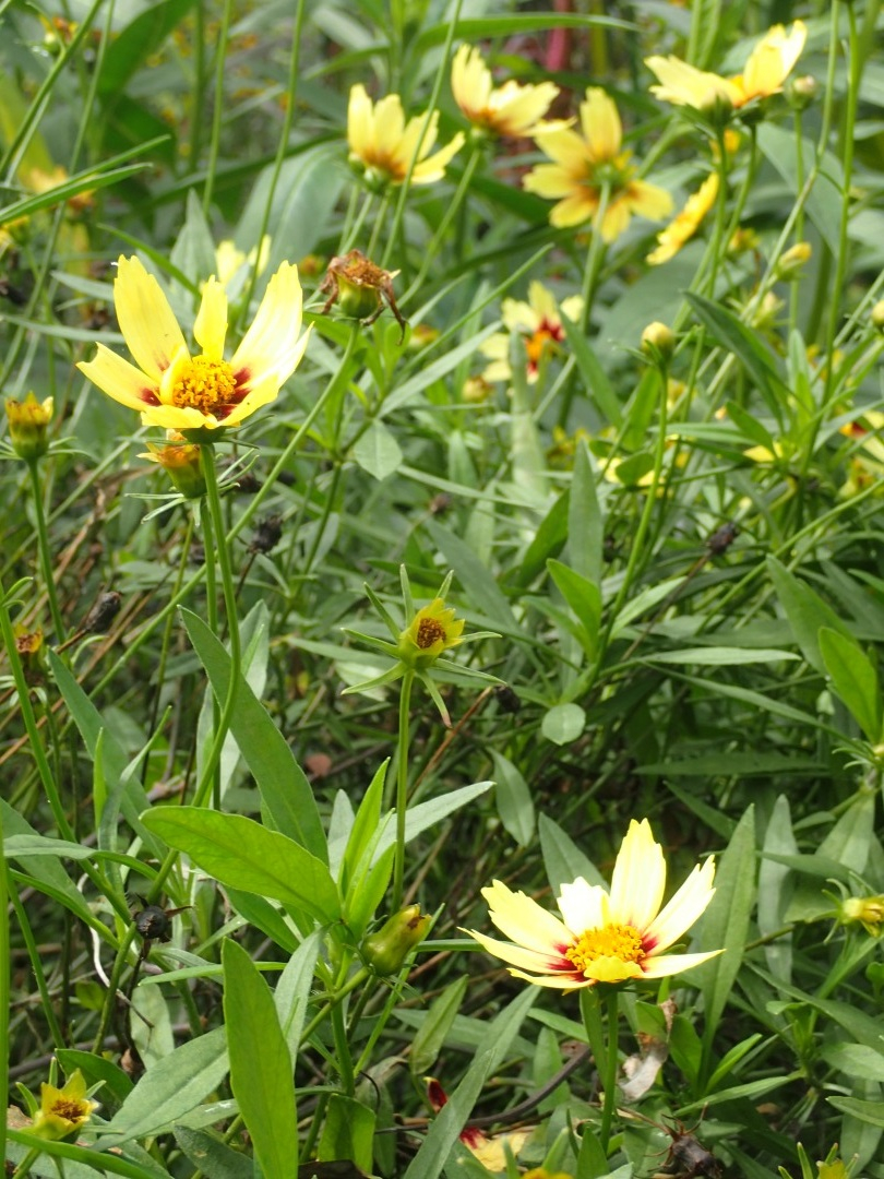 PA120500.JPG