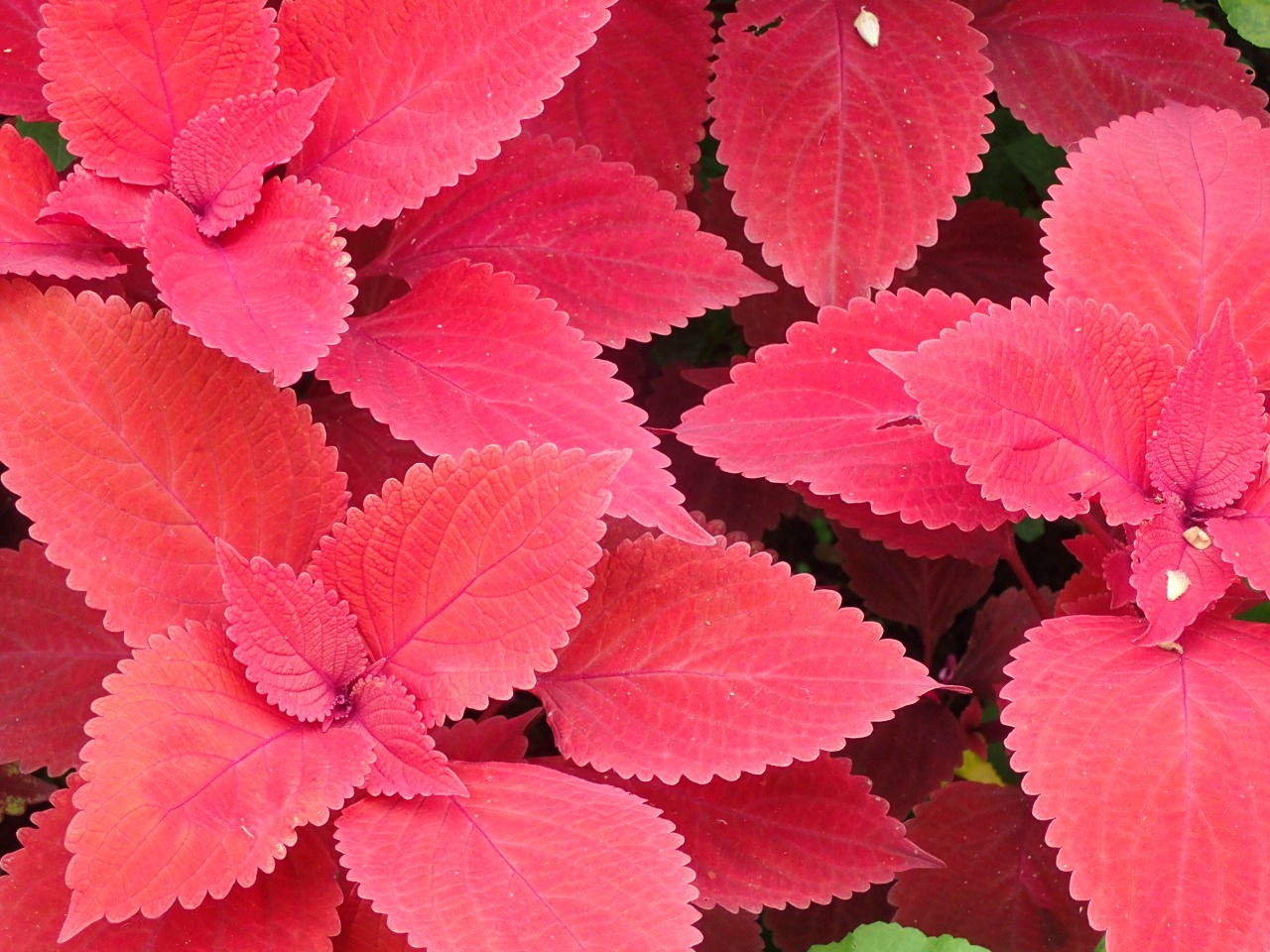 PA120879.JPG