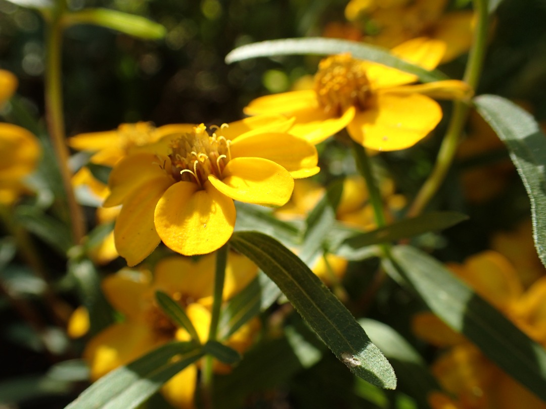 PA100083.JPG