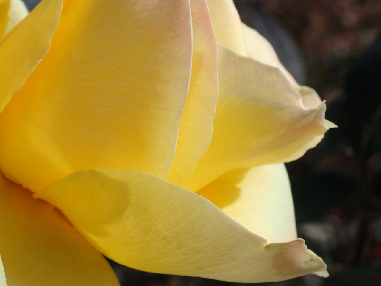 PC220611.JPG